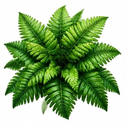s3